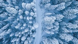 Winter Excavation Challenges & Tips