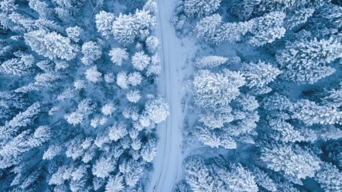 Winter Excavation Challenges & Tips